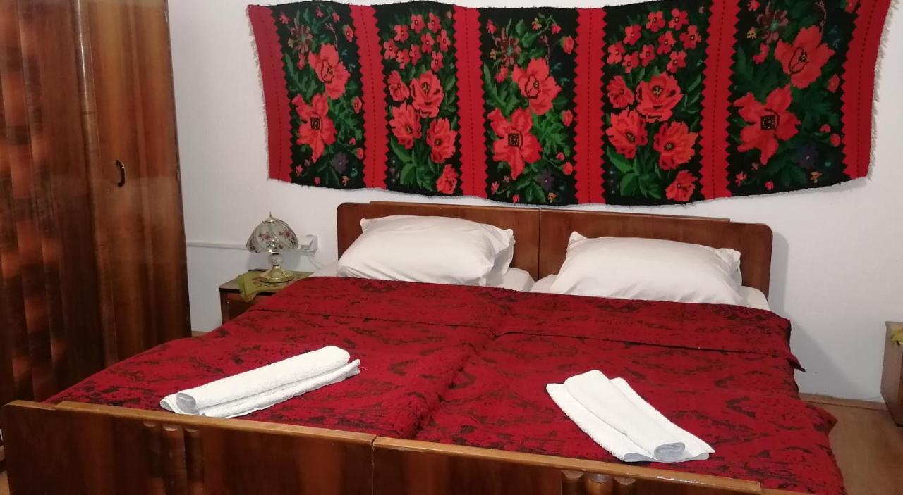 Etno Apartmani "Vlaska Kuca" Kladovo Exteriér fotografie