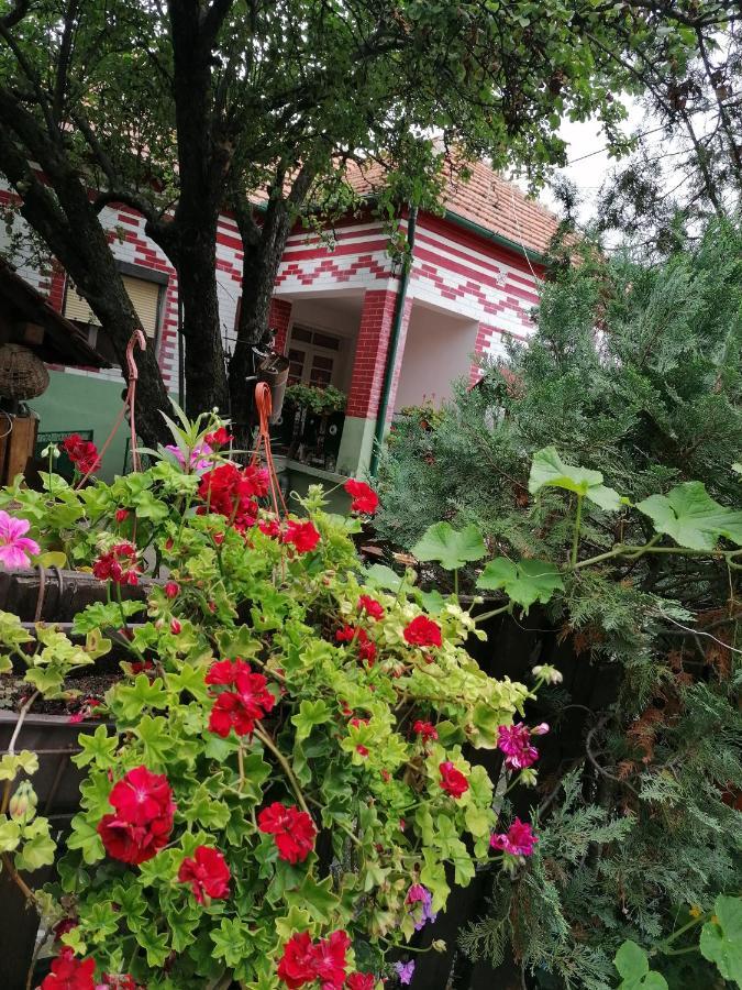 Etno Apartmani "Vlaska Kuca" Kladovo Exteriér fotografie