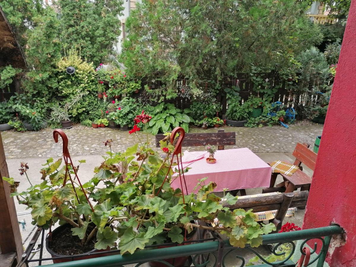 Etno Apartmani "Vlaska Kuca" Kladovo Exteriér fotografie